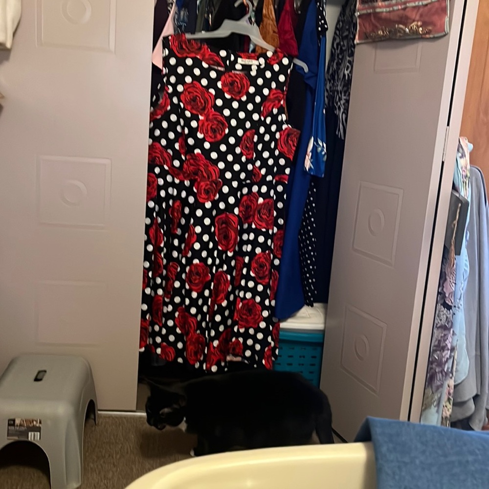 Grace Karin Black with white polkadots and red roses. Worn once twice maximum